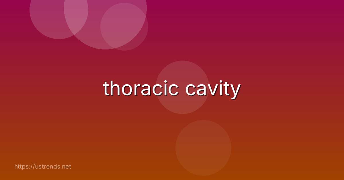 thoracic cavity