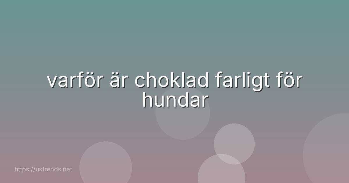 varför är choklad farligt för hundar