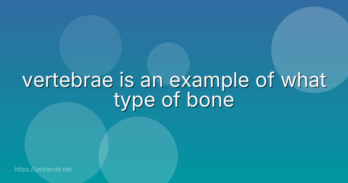 vertebrae is an example of what type of bone