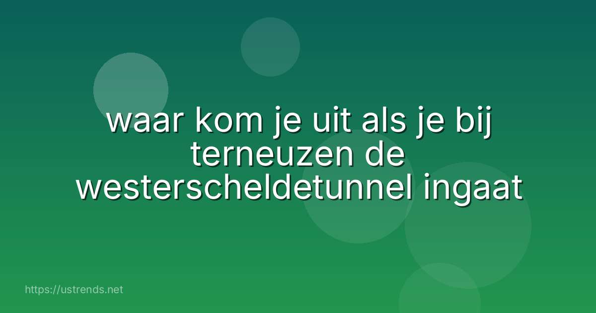 waar kom je uit als je bij terneuzen de westerscheldetunnel ingaat
