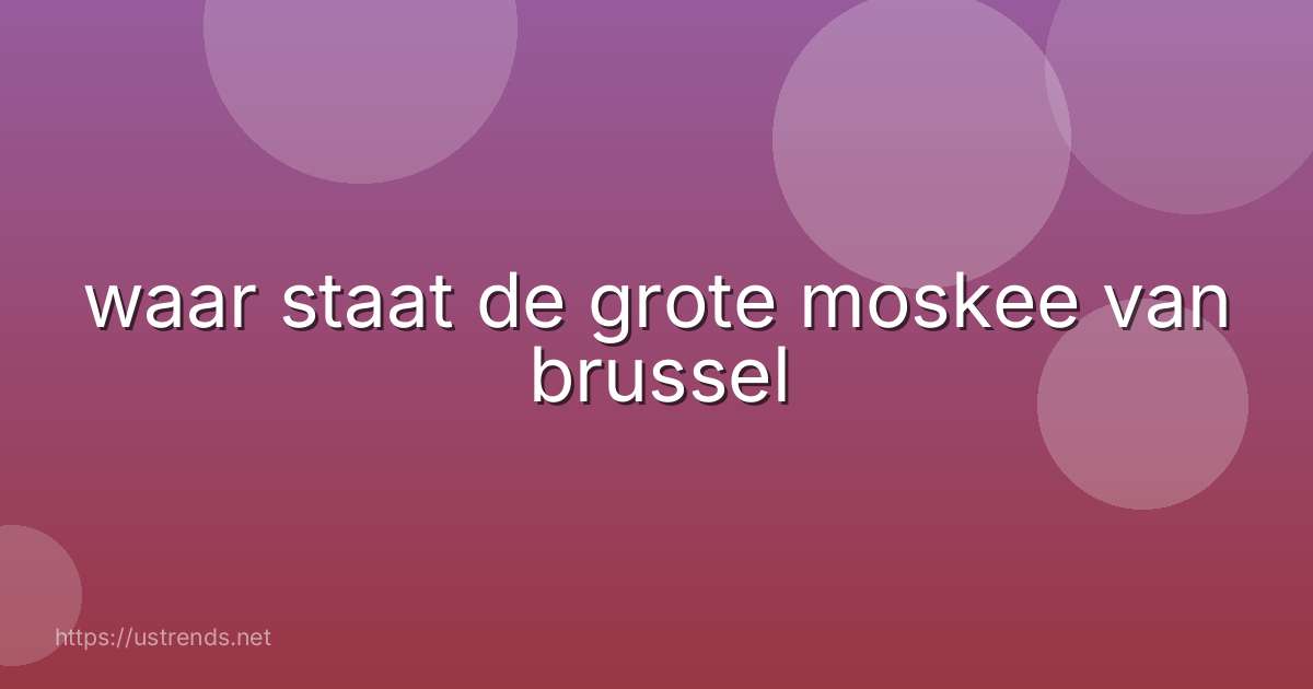 waar staat de grote moskee van brussel