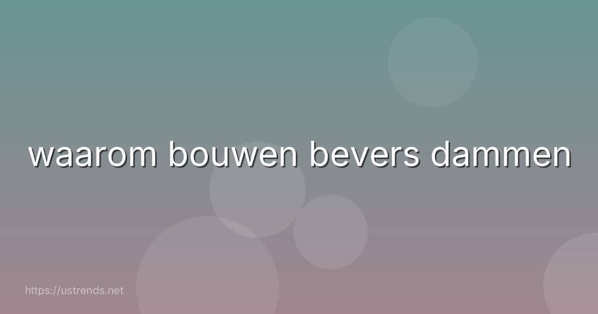 waarom bouwen bevers dammen