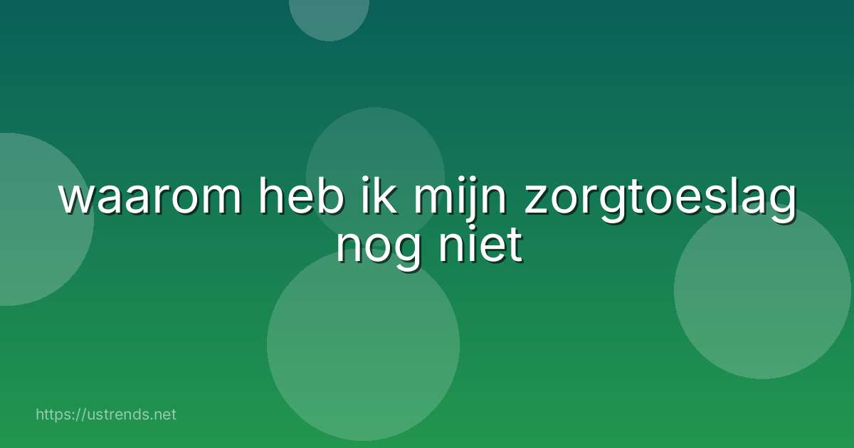 waarom heb ik mijn zorgtoeslag nog niet