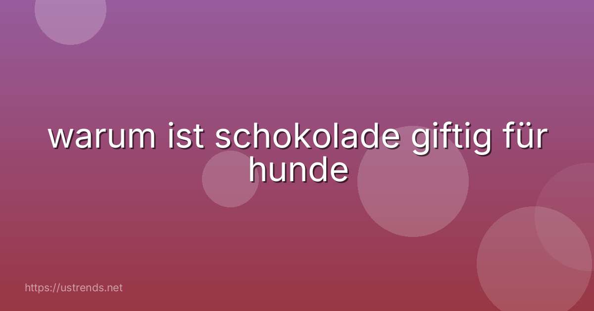 warum ist schokolade giftig für hunde