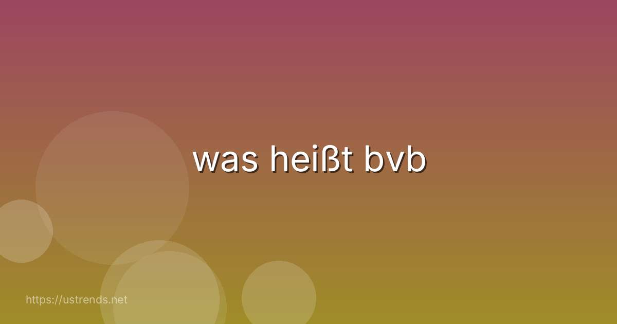 was heißt bvb