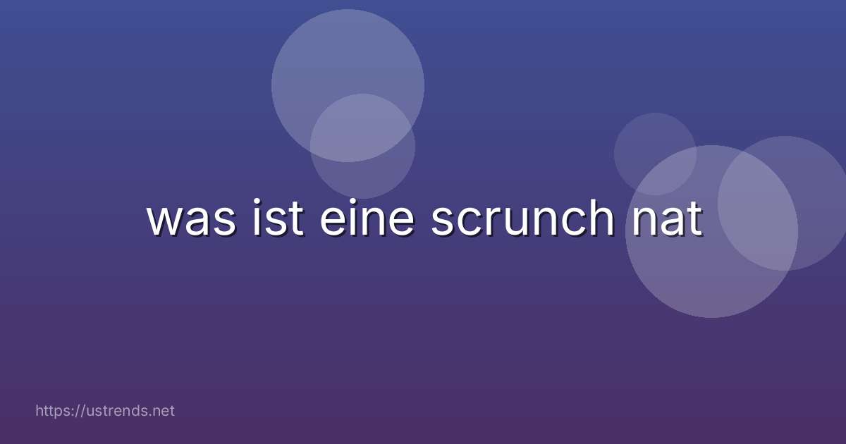 was ist eine scrunch nat