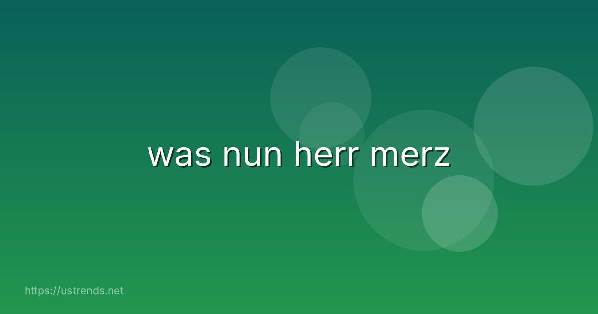 was nun herr merz