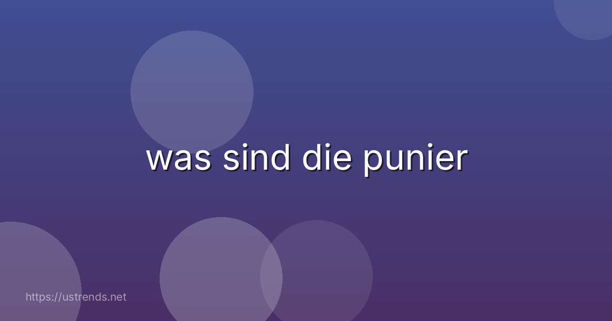 was sind die punier