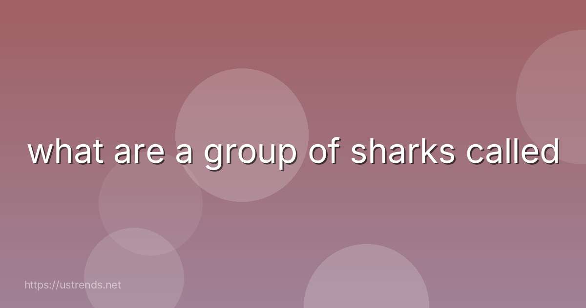 what are a group of sharks called