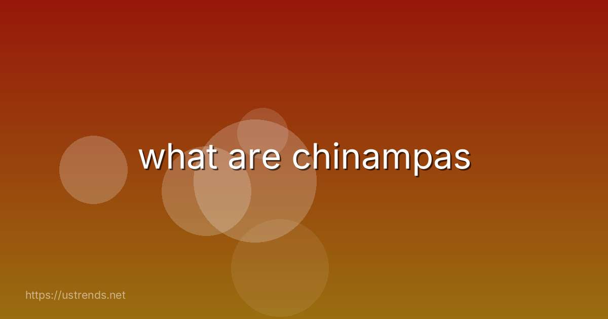 what are chinampas