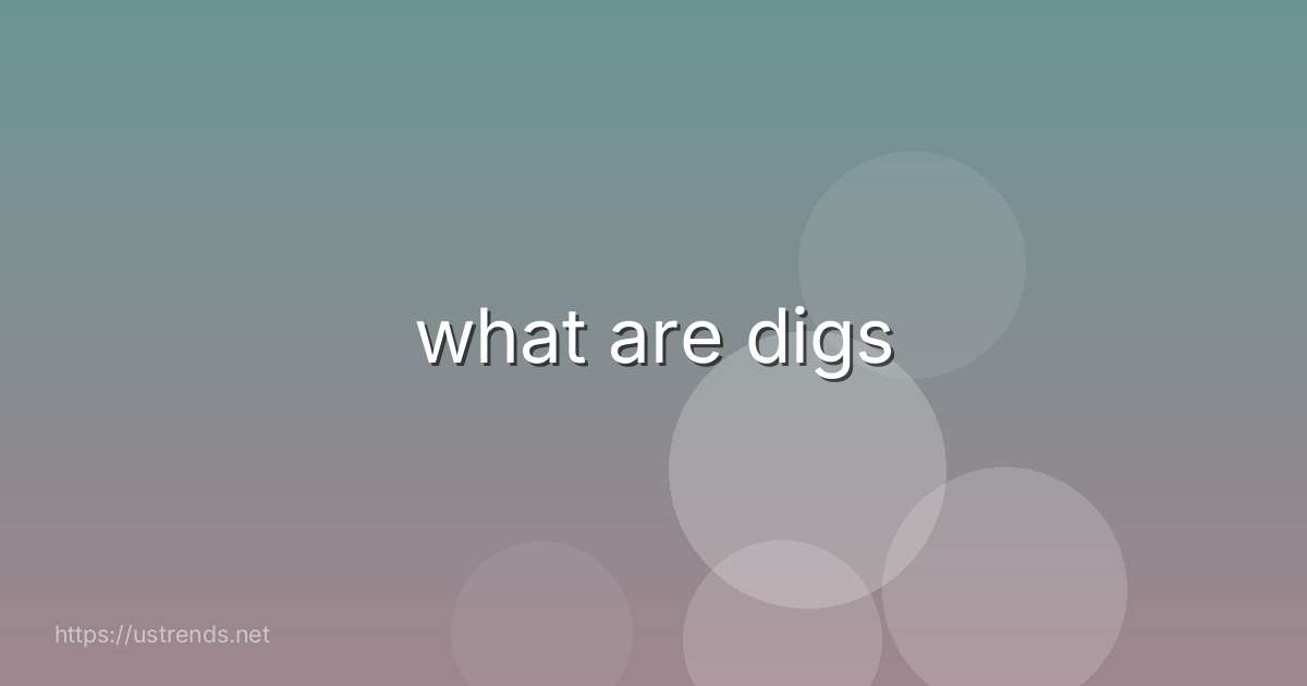 what are digs