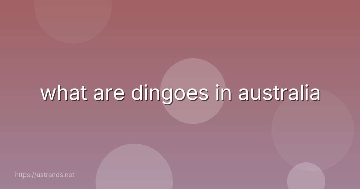 what are dingoes in australia