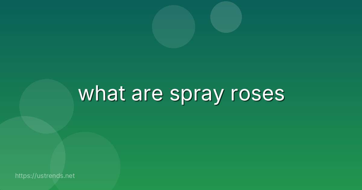 what are spray roses