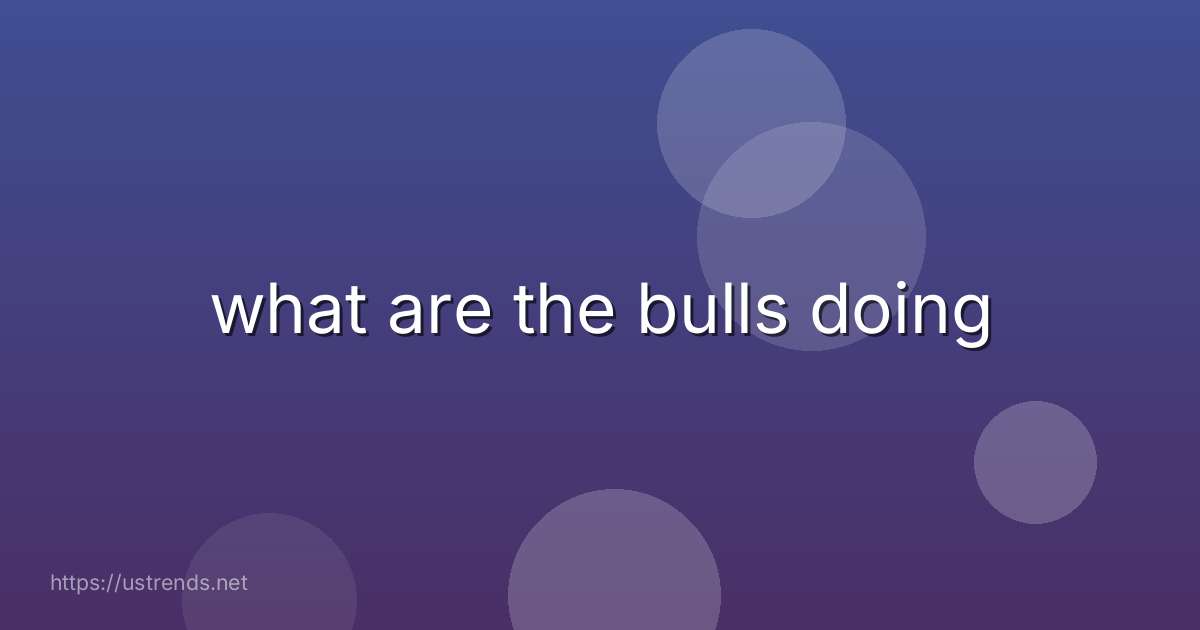 what are the bulls doing
