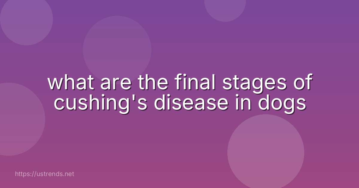 what are the final stages of cushing's disease in dogs