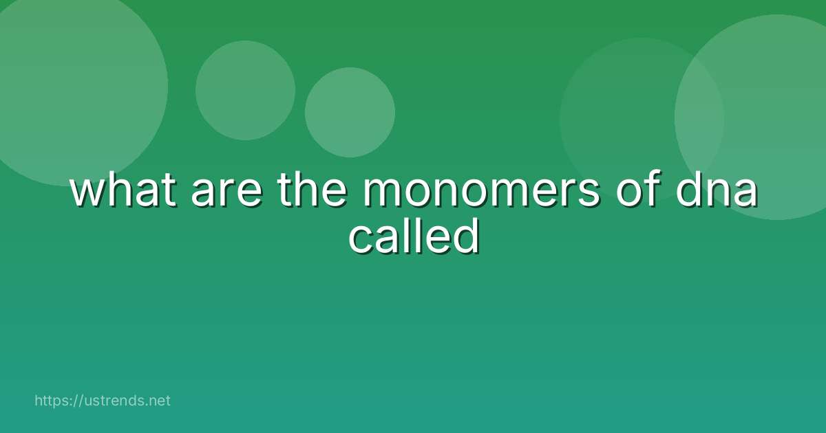 what are the monomers of dna called