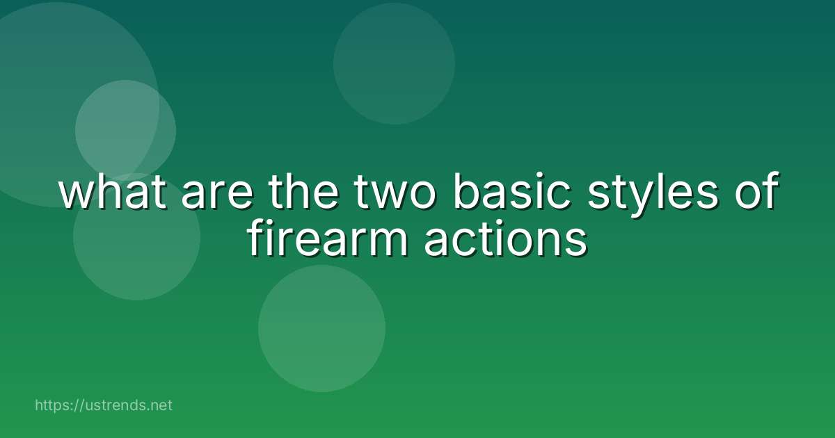 what are the two basic styles of firearm actions