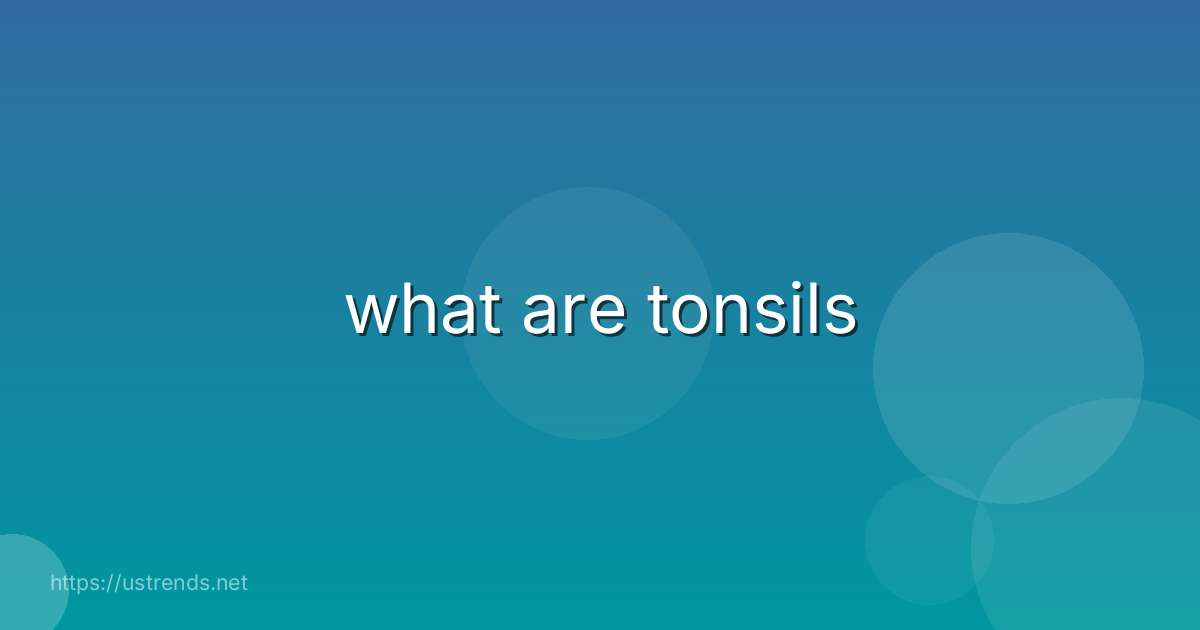 what are tonsils