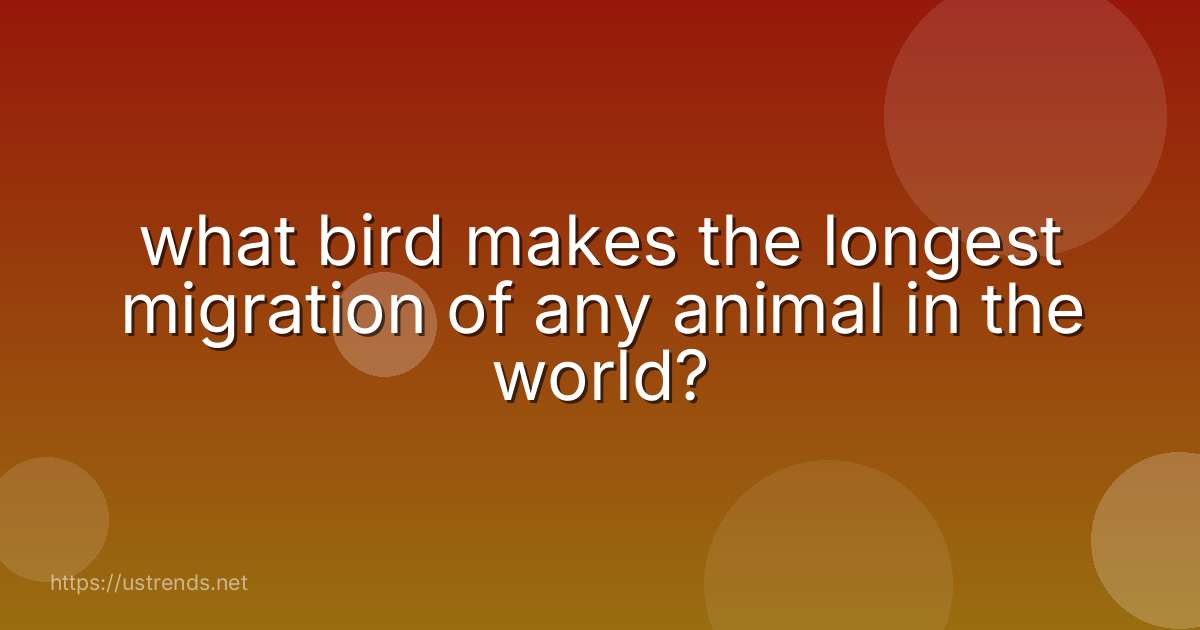 what bird makes the longest migration of any animal in the world?
