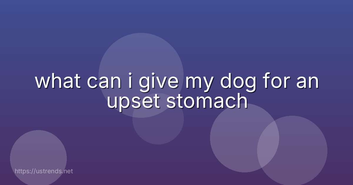 what can i give my dog for an upset stomach