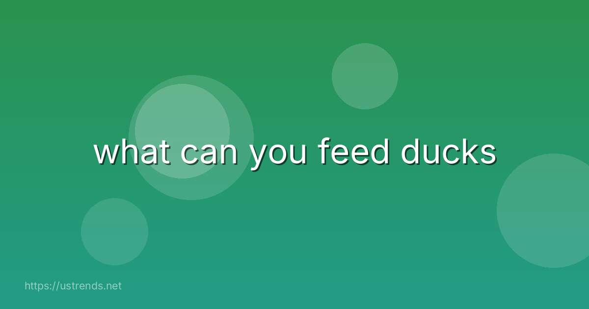 what can you feed ducks