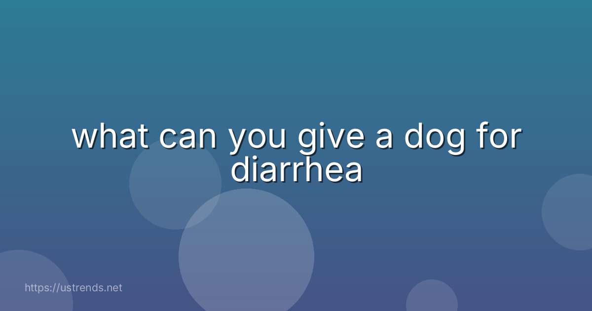 what can you give a dog for diarrhea