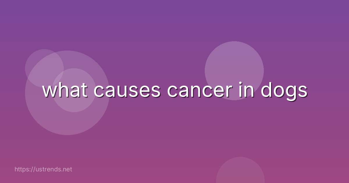 what causes cancer in dogs