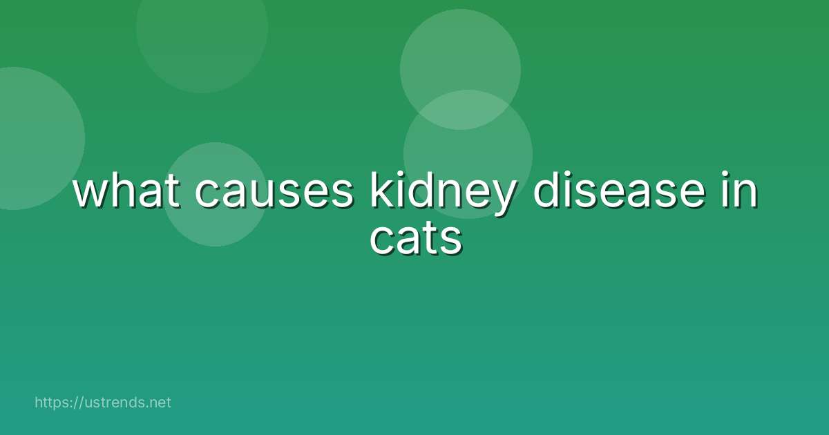 what causes kidney disease in cats
