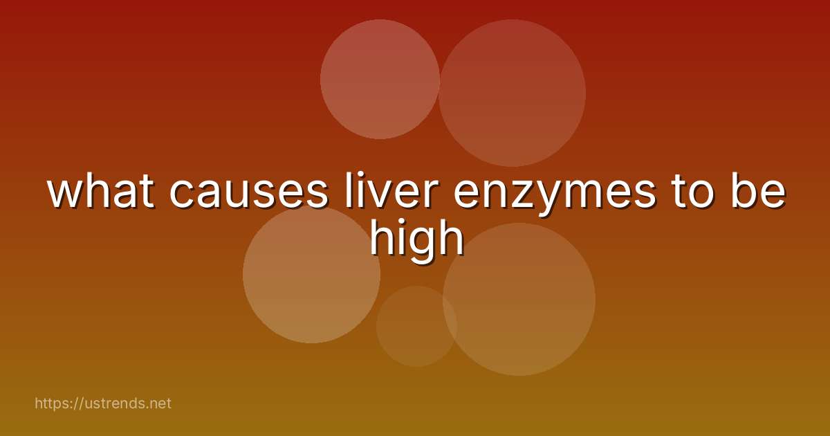 what causes liver enzymes to be high