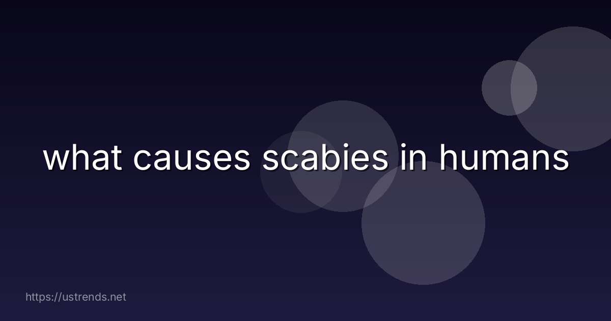 what causes scabies in humans