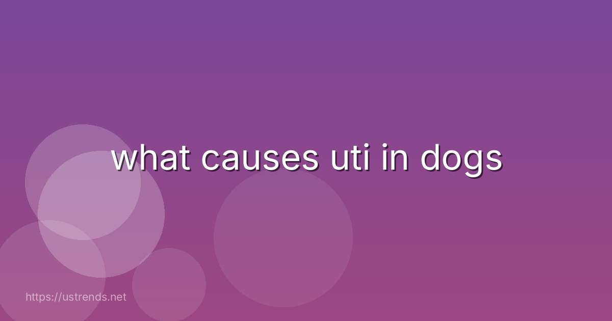 what causes uti in dogs
