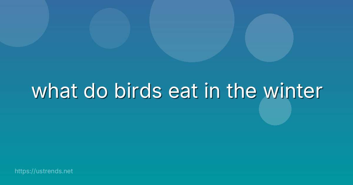 what do birds eat in the winter