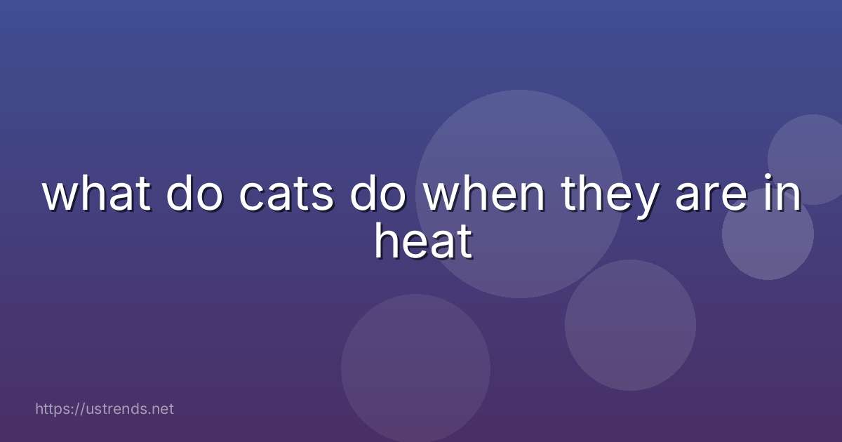 what do cats do when they are in heat