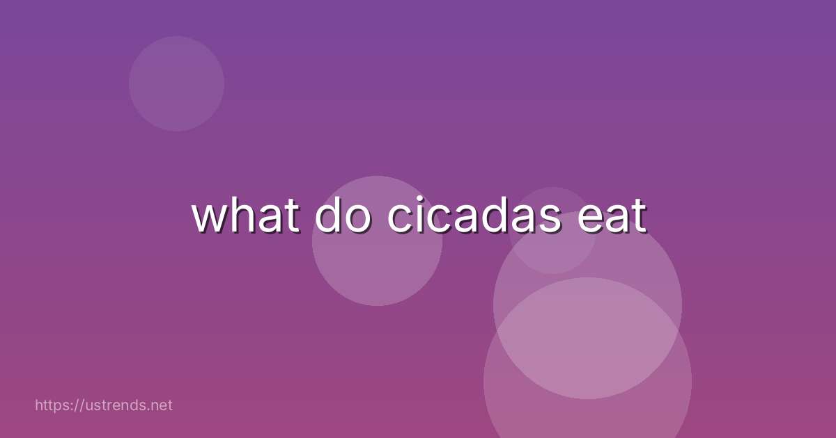 what do cicadas eat