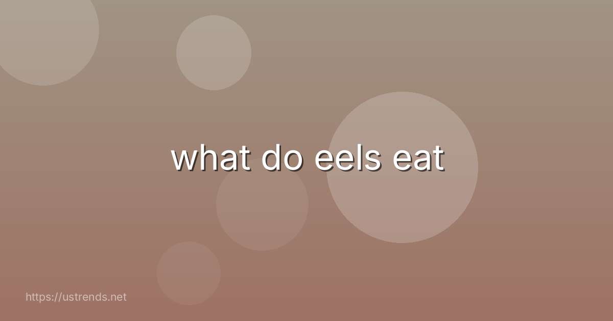 what do eels eat