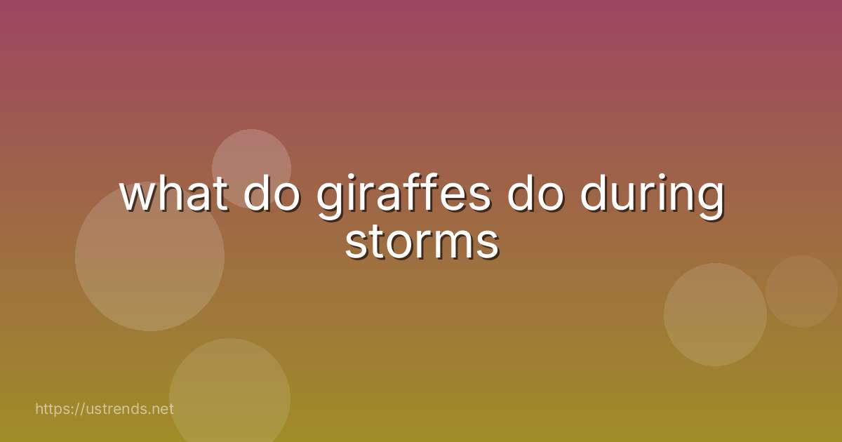 what do giraffes do during storms