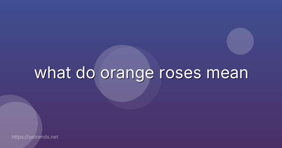 what do orange roses mean