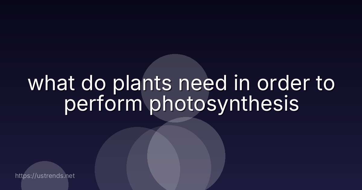 what do plants need in order to perform photosynthesis