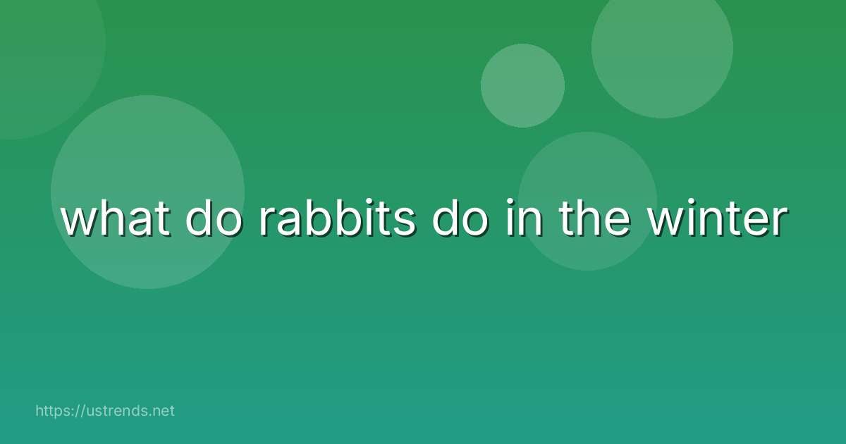 what do rabbits do in the winter