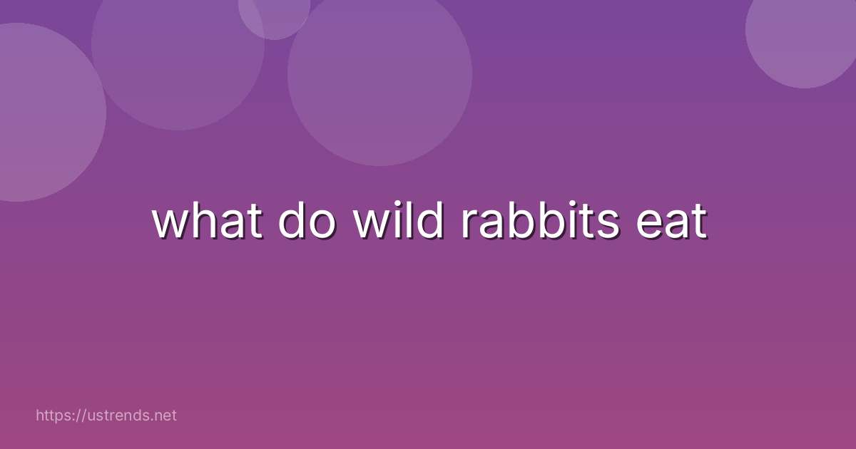 what do wild rabbits eat