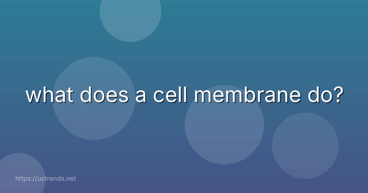 what does a cell membrane do?
