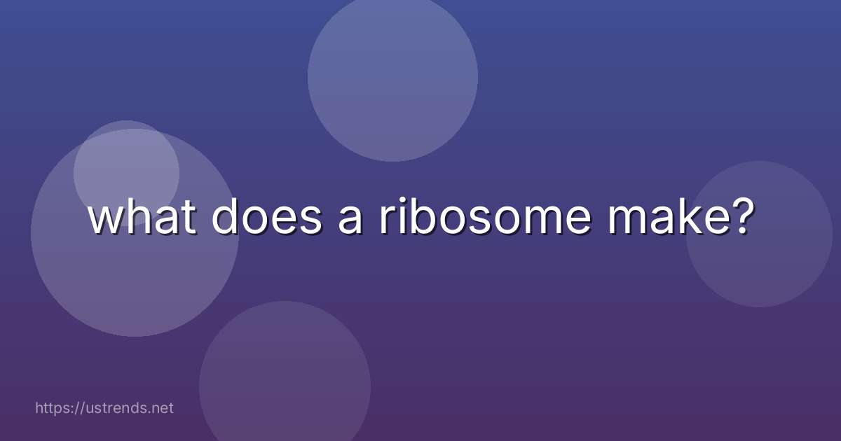 what does a ribosome make?
