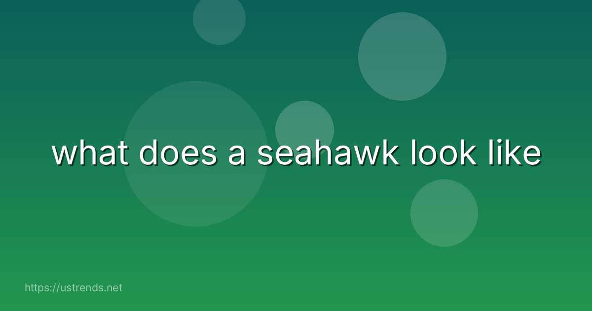 what does a seahawk look like