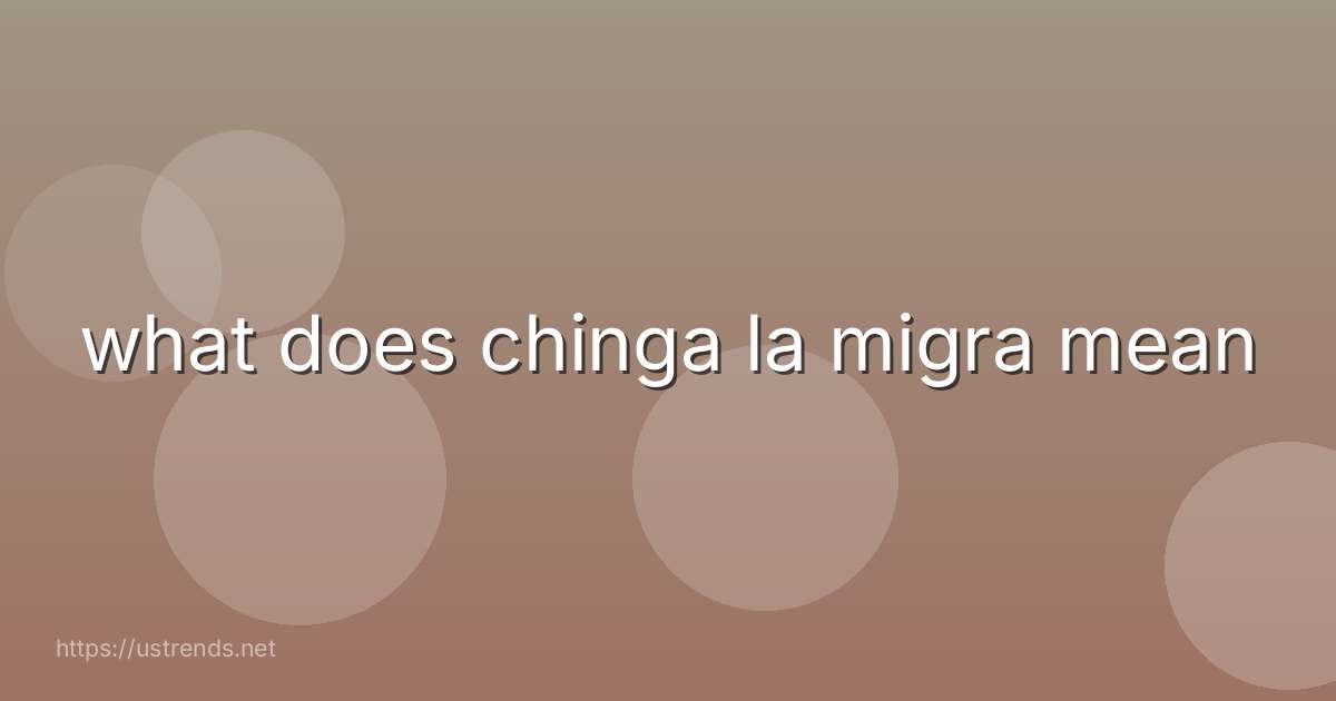 what does chinga la migra mean