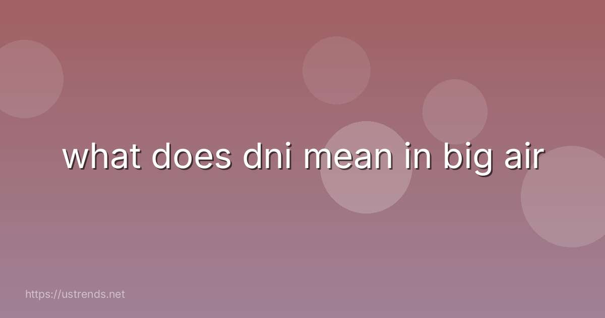 what does dni mean in big air
