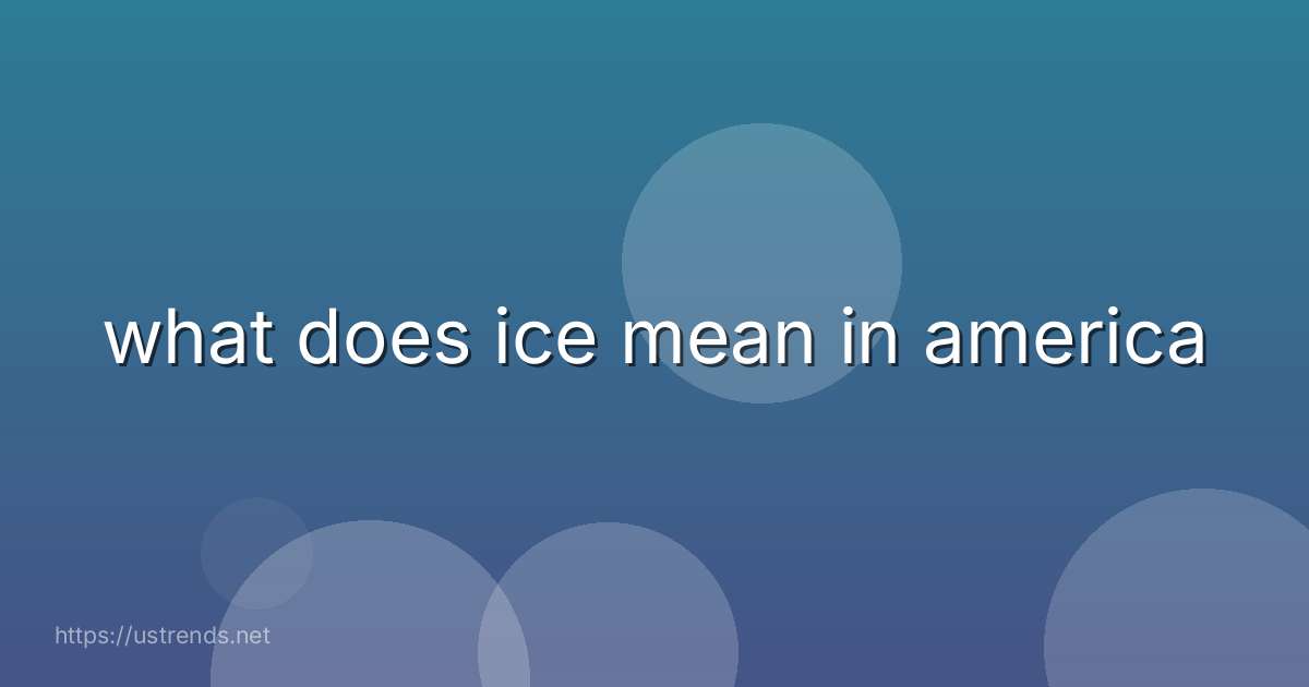 what does ice mean in america