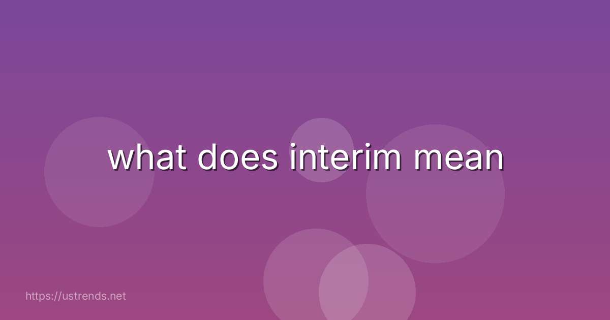 what does interim mean