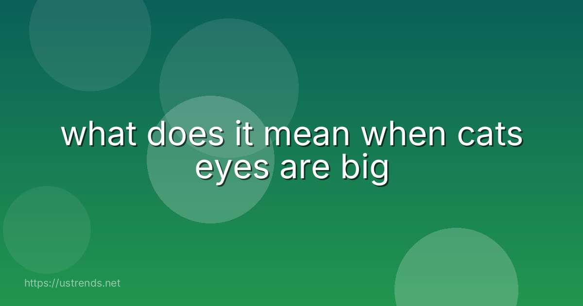 what does it mean when cats eyes are big