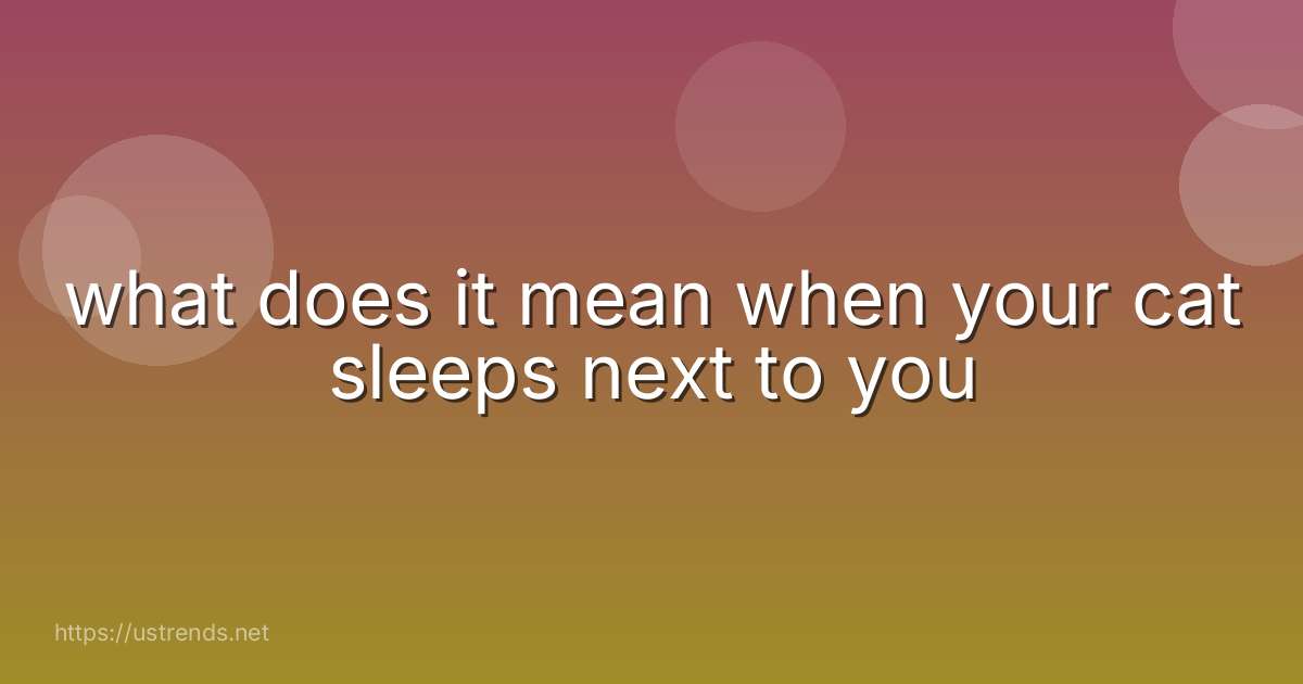 what does it mean when your cat sleeps next to you
