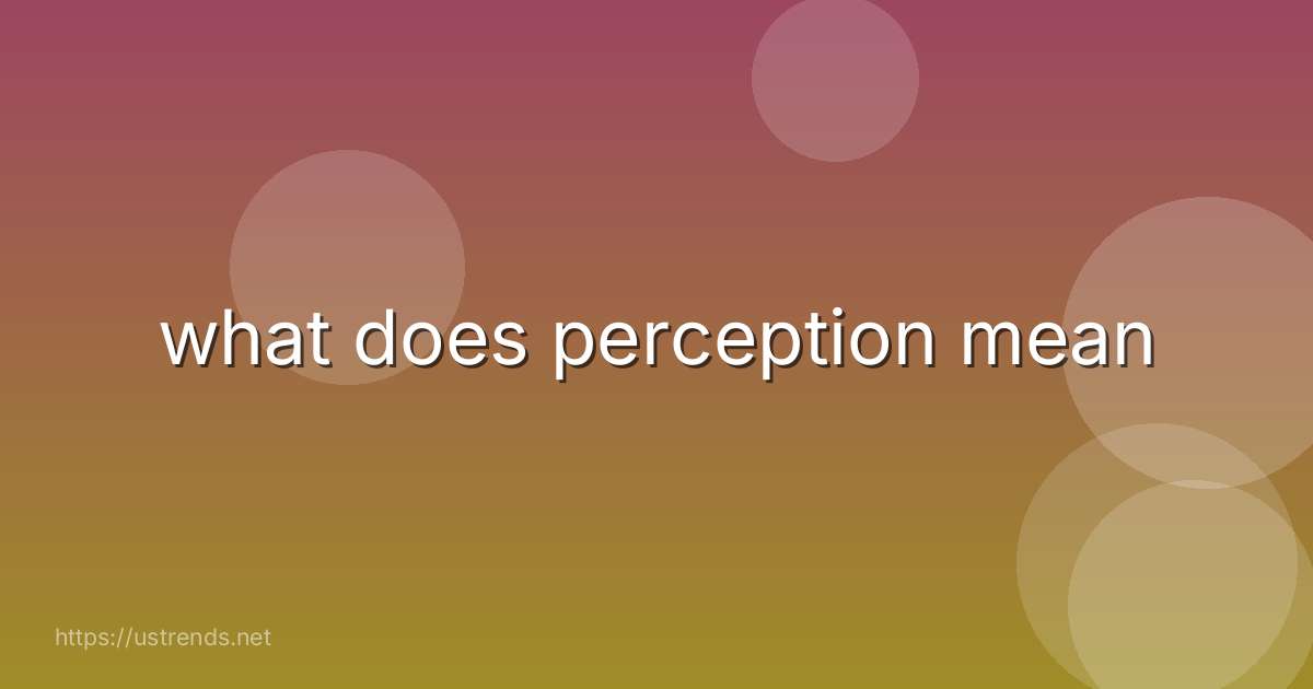 what does perception mean